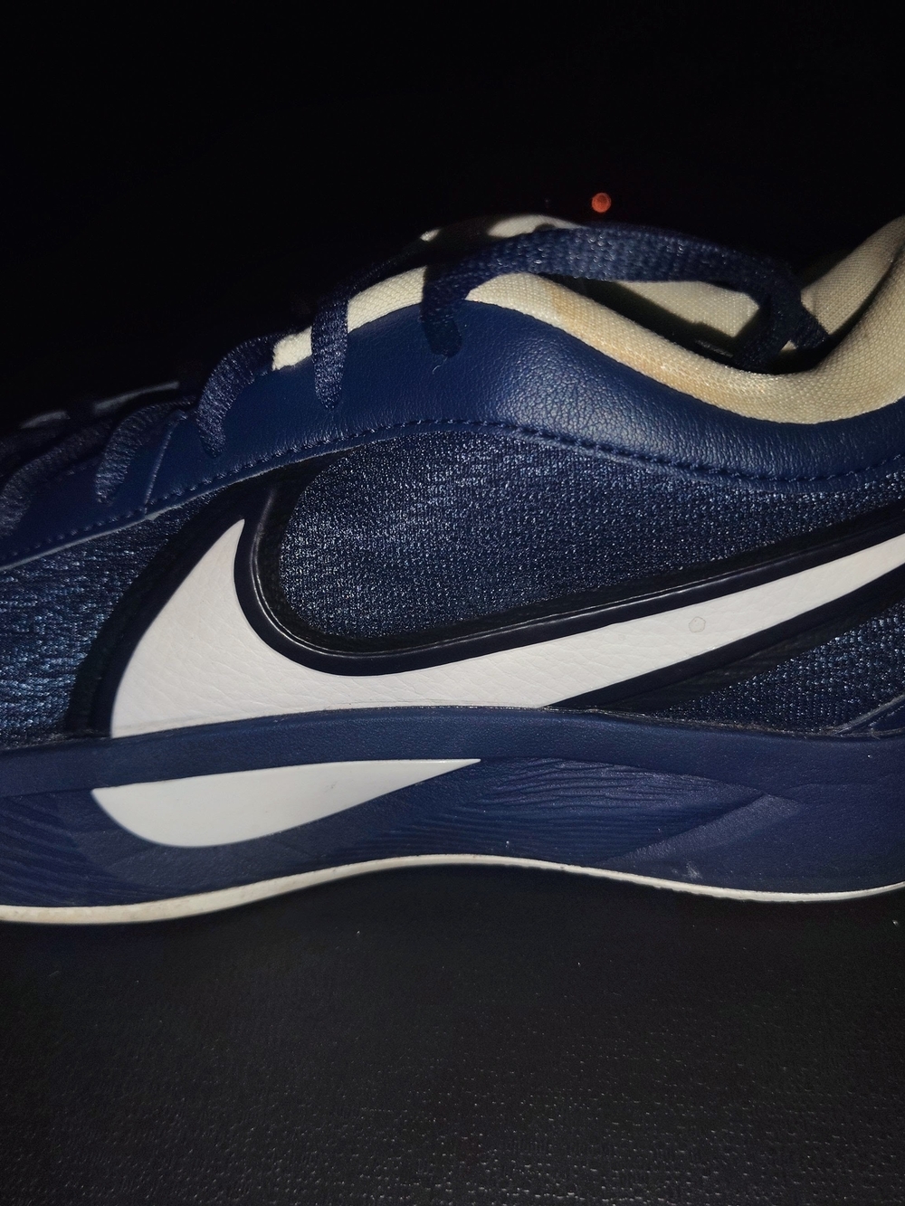 Nike Men's Navy and White Shoes